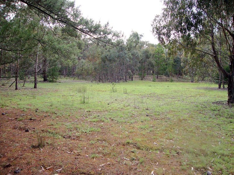 Lot 3 Grampians View Road, Beaufort VIC 3373