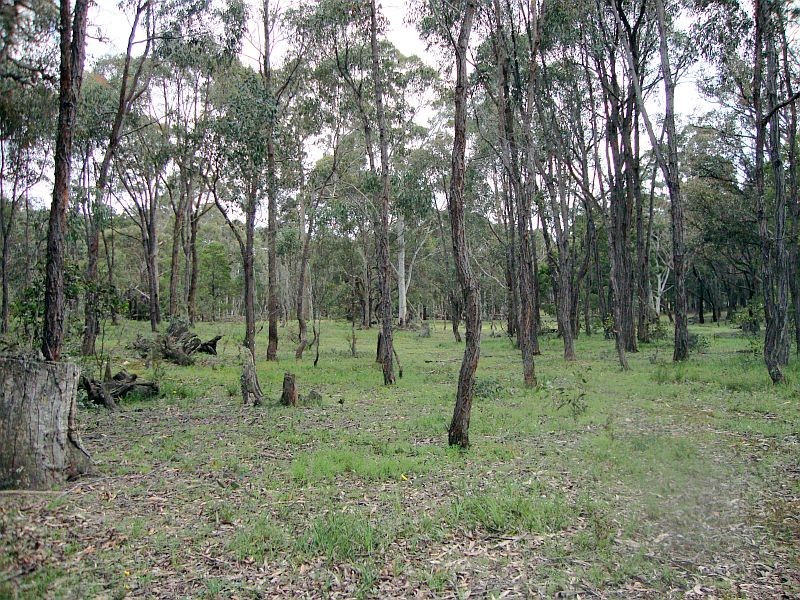 Lot 3 Grampians View Road, Beaufort VIC 3373