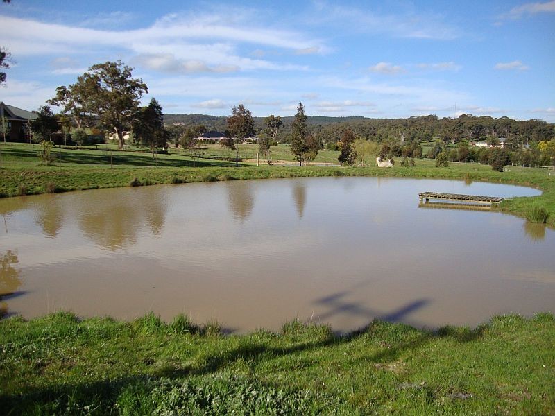 34 Tallowwood Rise, Invermay VIC 3352