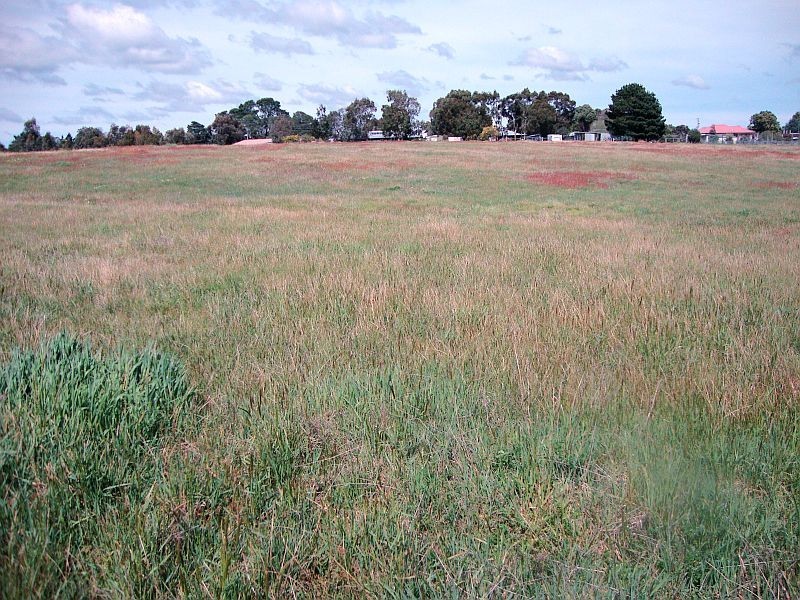 Lot 44 Johnston Street, Smythesdale VIC 3351