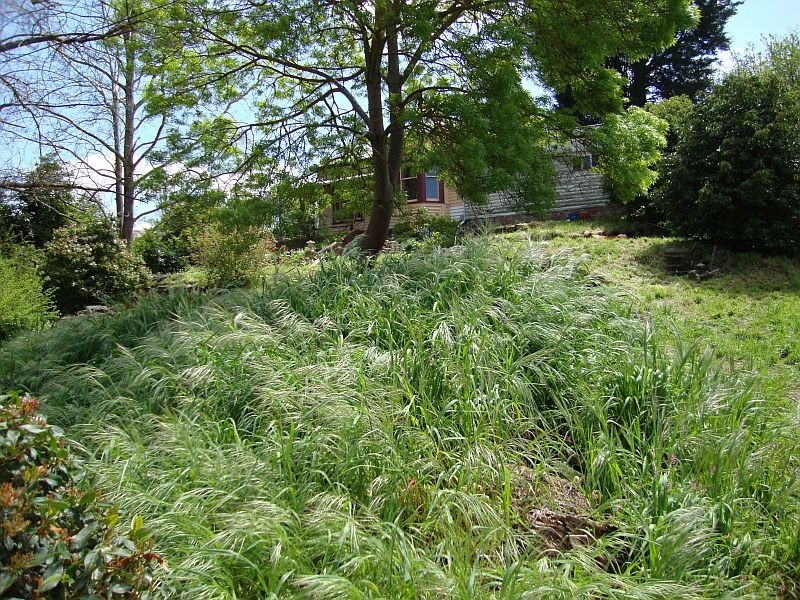 5 Clissold Street, Ballarat Central VIC 3350