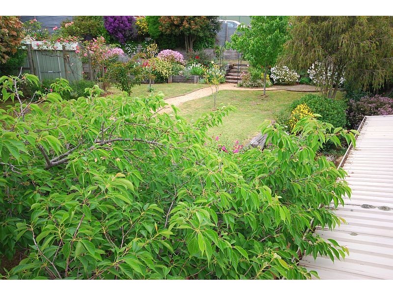 609 Laurie Street, Ballarat VIC 3350