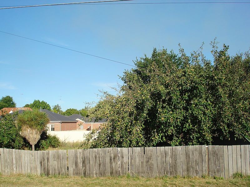 803 Ripon Street South, Redan VIC 3350