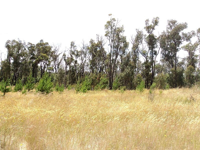 Lot 18 Porters Lane, Scarsdale VIC 3351