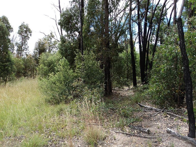 Lot 18 Porters Lane, Scarsdale VIC 3351