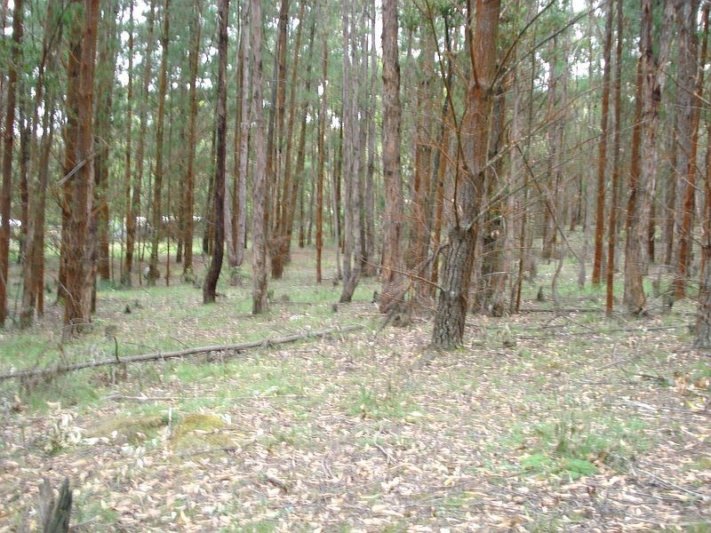 Lot 14 Race Road, Ross Creek VIC 3351