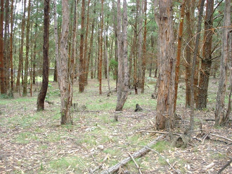 Lot 14 Race Road, Ross Creek VIC 3351