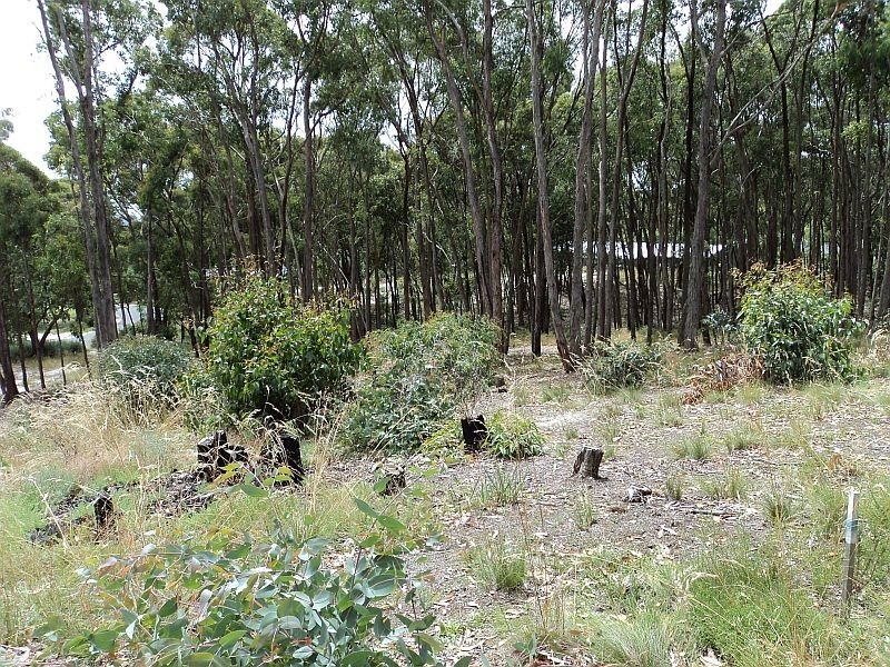 2 Kookaburra Close, Mount Helen VIC 3350