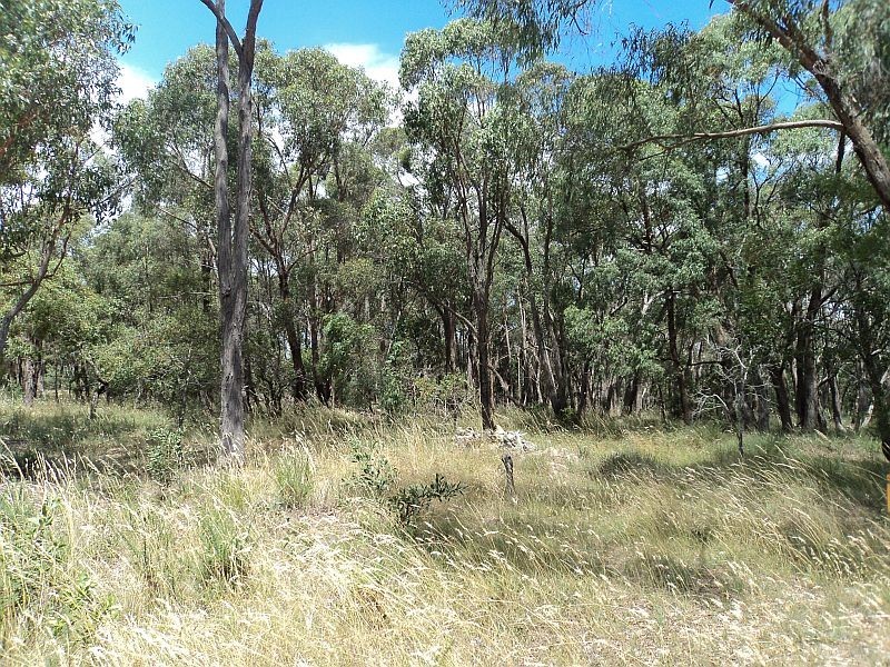 Lot 11 Burdett Street, Smythesdale VIC 3351