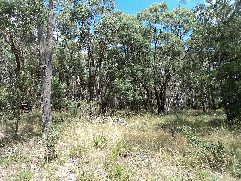 Lot 11 Burdett Street, Smythesdale VIC 3351