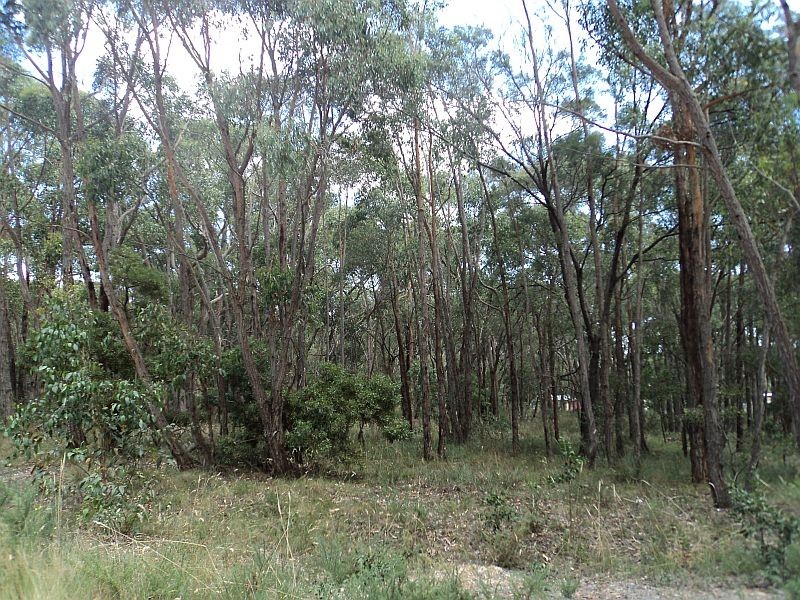 Lot 11 Burdett Street, Smythesdale VIC 3351