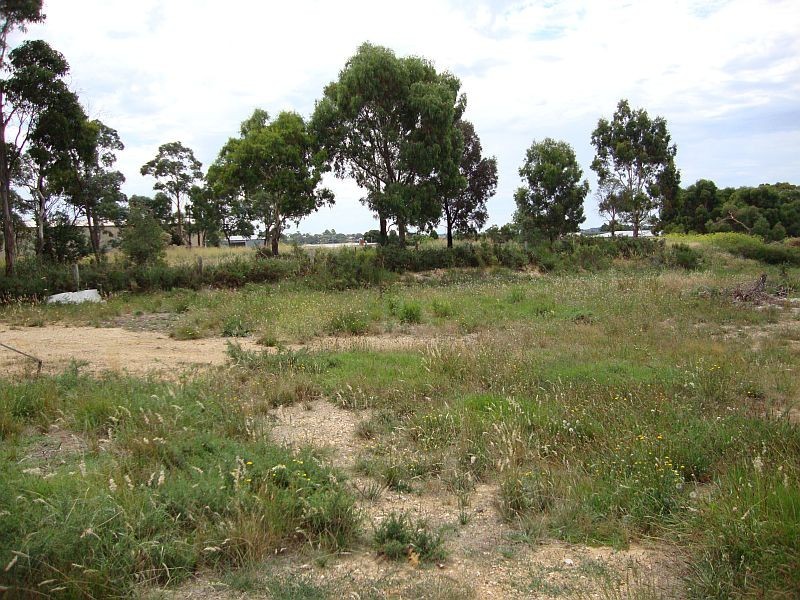 117 Elsworth Street, Ballarat East VIC 3350