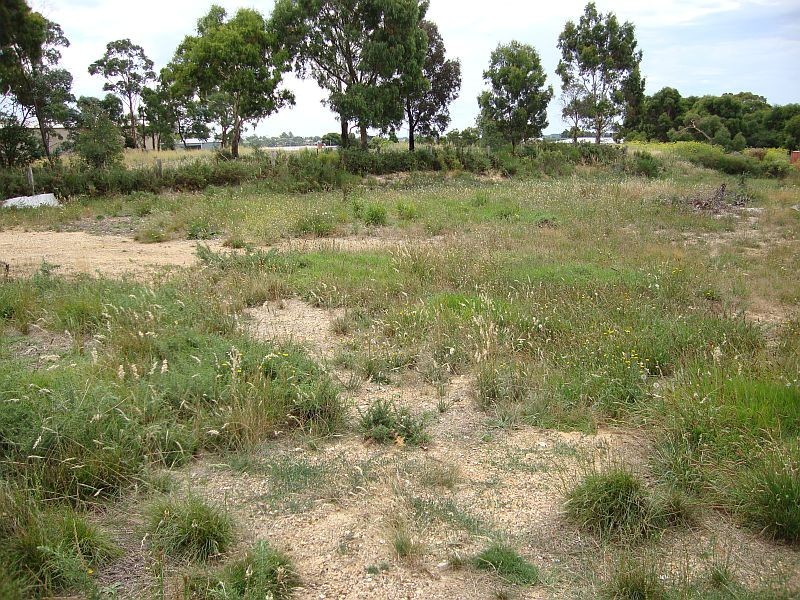 117 Elsworth Street, Ballarat East VIC 3350