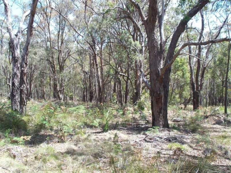 Lot 6 Dales Road, Staffordshire Reef VIC 3351