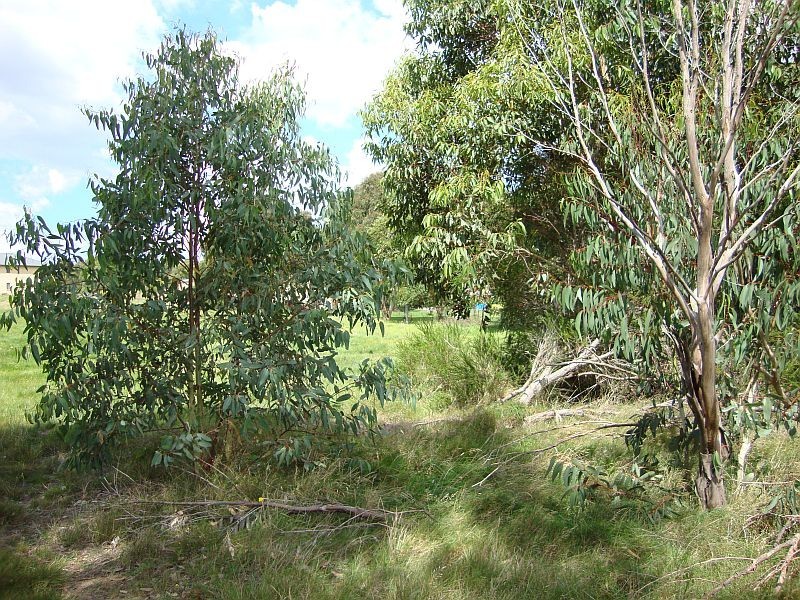 16B Launchley Drive, Cardigan Village VIC 3352