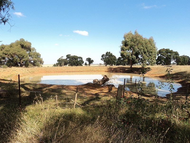 15a Ryans Road, Cape Clear VIC 3351