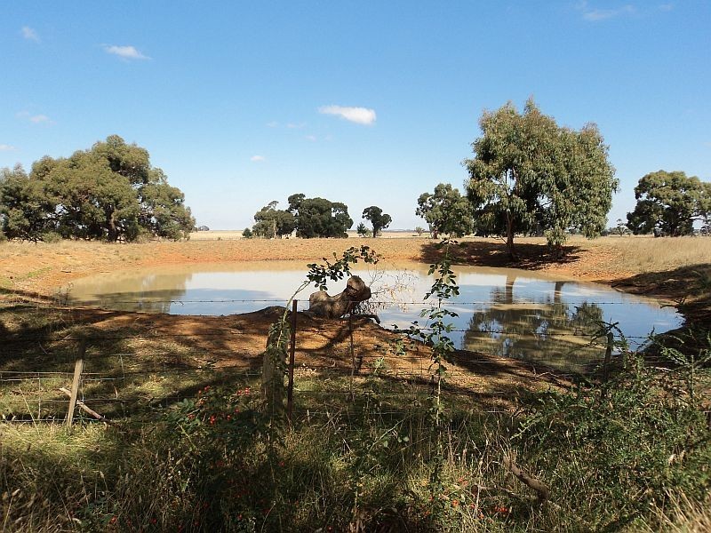 15a Ryans Road, Cape Clear VIC 3351