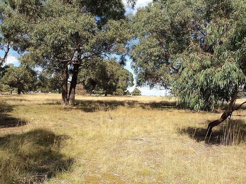 15a Ryans Road, Cape Clear VIC 3351