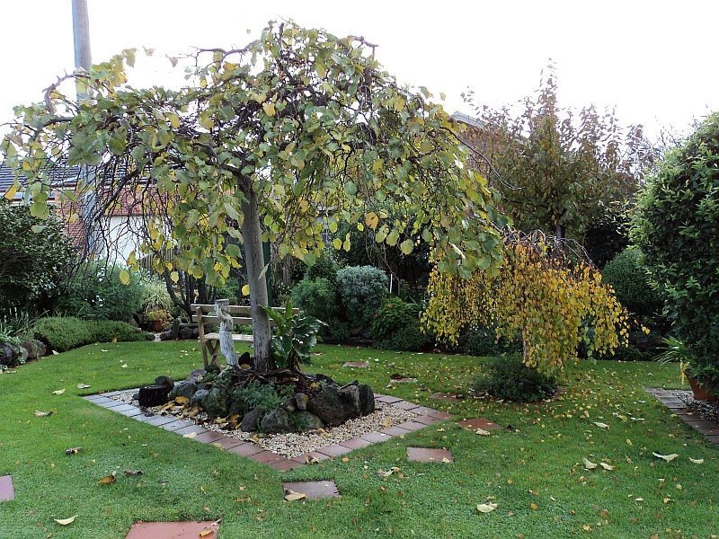 211 Simpson Street, Ballarat North VIC 3350