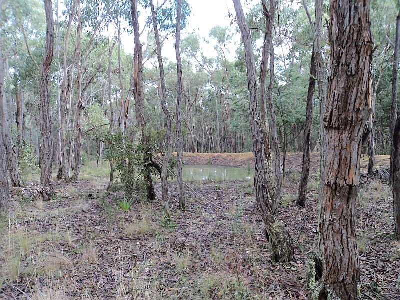 30 Corio Dam Road, Scarsdale VIC 3351