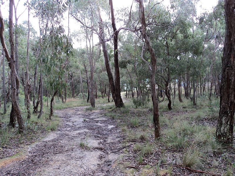 30 Corio Dam Road, Scarsdale VIC 3351