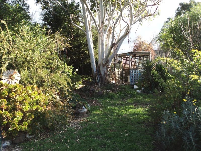 91 Napier Street, Creswick VIC 3363