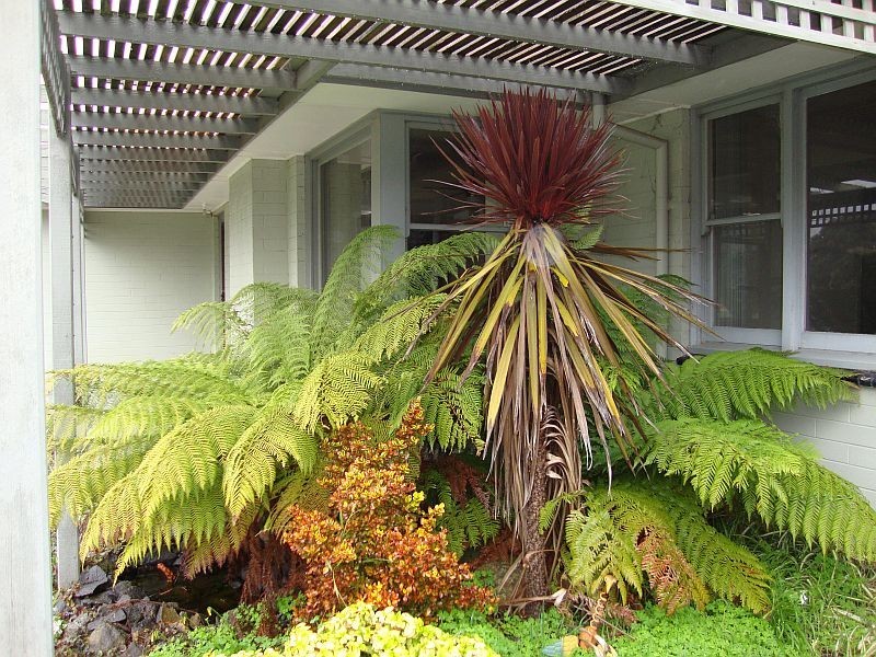 3 Walton Street, Wendouree VIC 3355