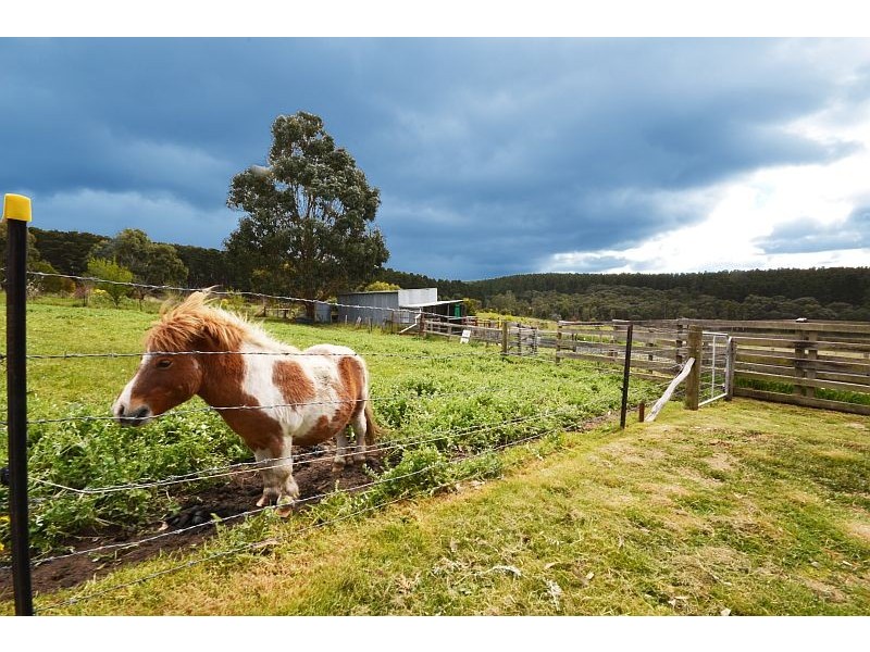 42 Milburn Road, Linton VIC 3360