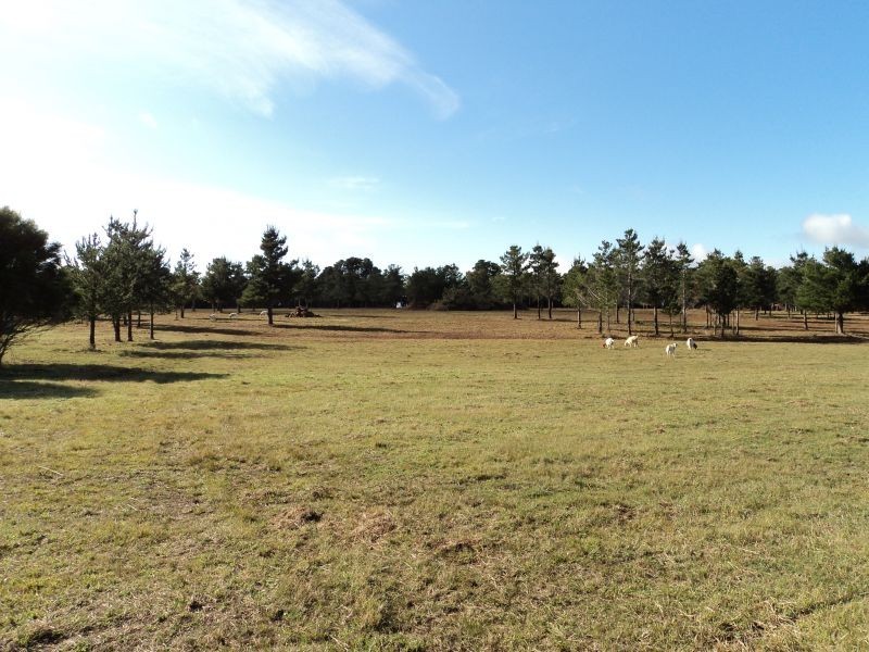 7 Savage Hill Road, Corindhap VIC 3352