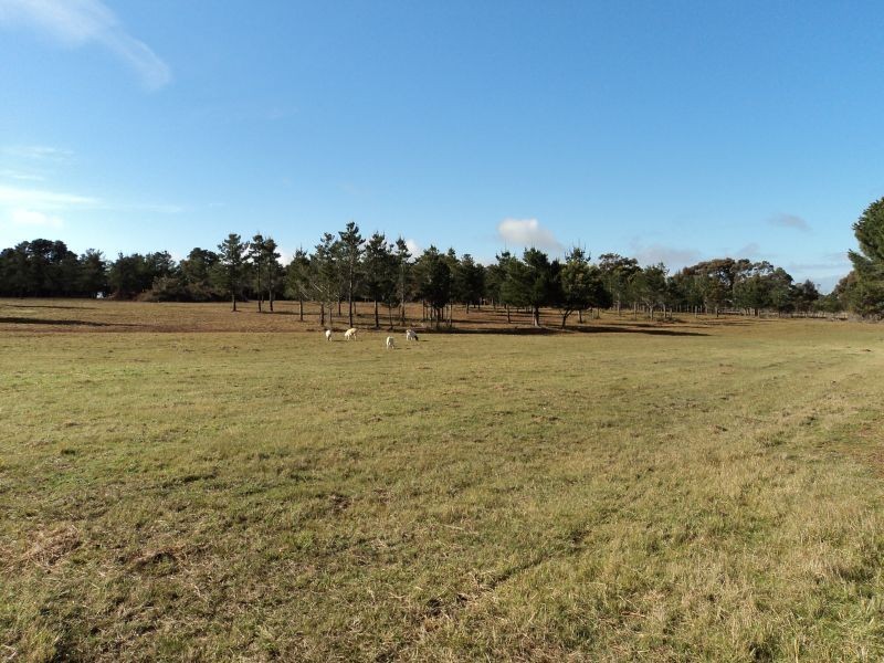 7 Savage Hill Road, Corindhap VIC 3352