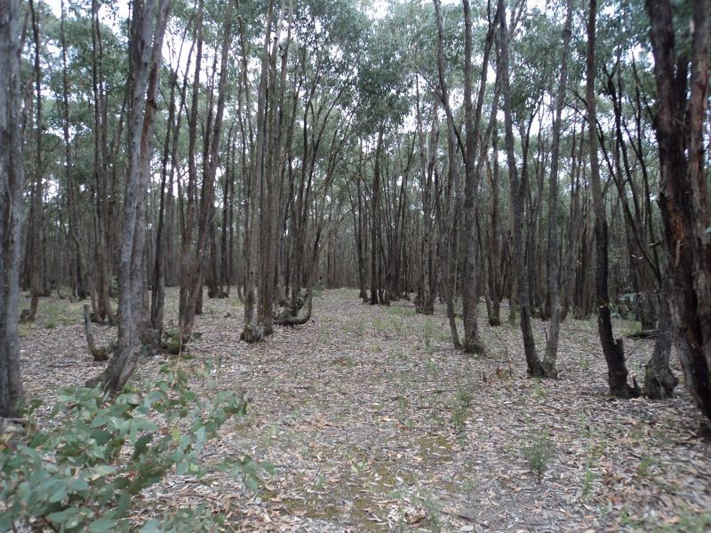 14 Parslow Road, Ross Creek VIC 3351