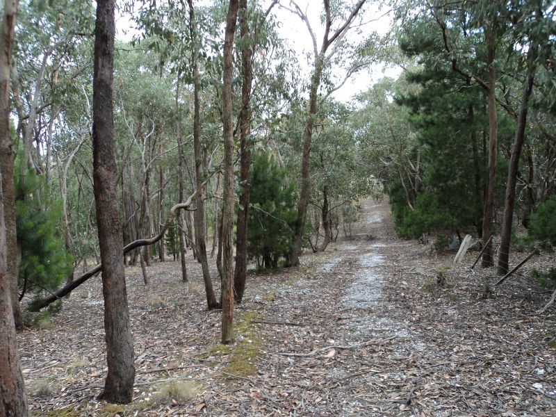 203 Aubreys Road, Magpie VIC 3352