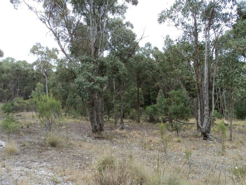 203 Aubreys Road, Magpie VIC 3352