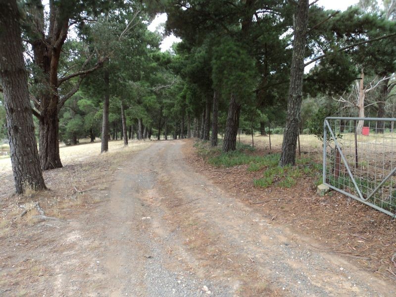 203 Aubreys Road, Magpie VIC 3352