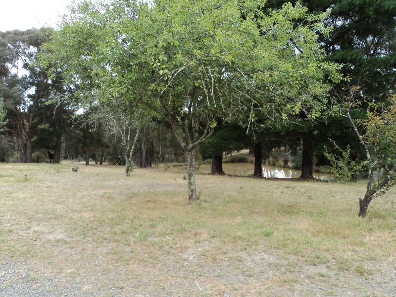 203 Aubreys Road, Magpie VIC 3352