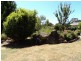 9 Forest Street, Buninyong VIC 3357