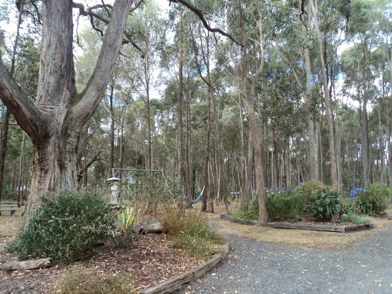 151 Grevillea Drive, Enfield VIC 3352
