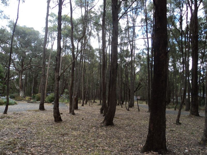 151 Grevillea Drive, Enfield VIC 3352