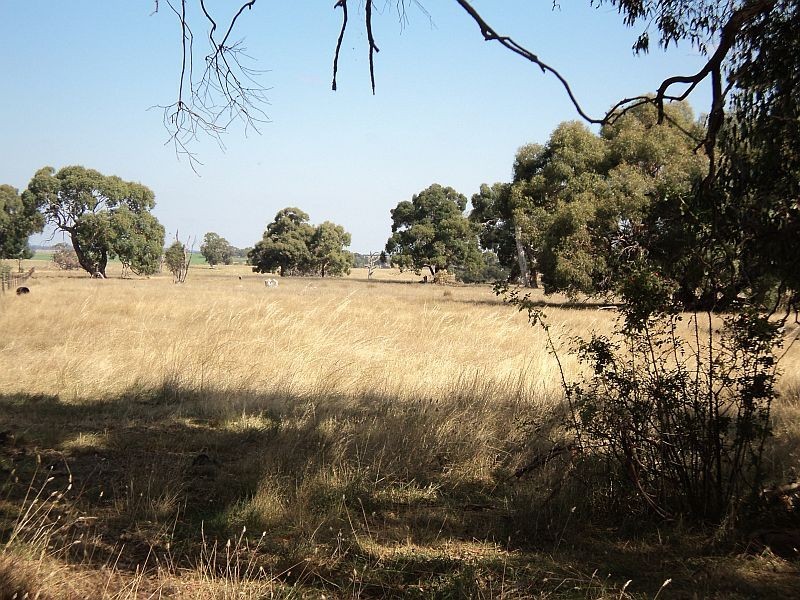 15a Ryans Road, Cape Clear VIC 3351