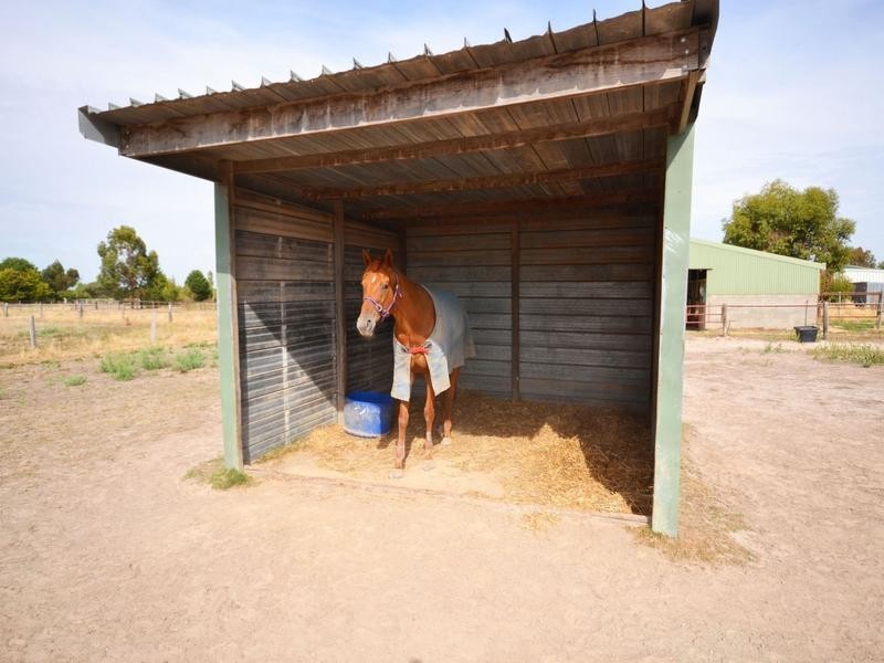 103 Sharpes Road, Miners Rest VIC 3352