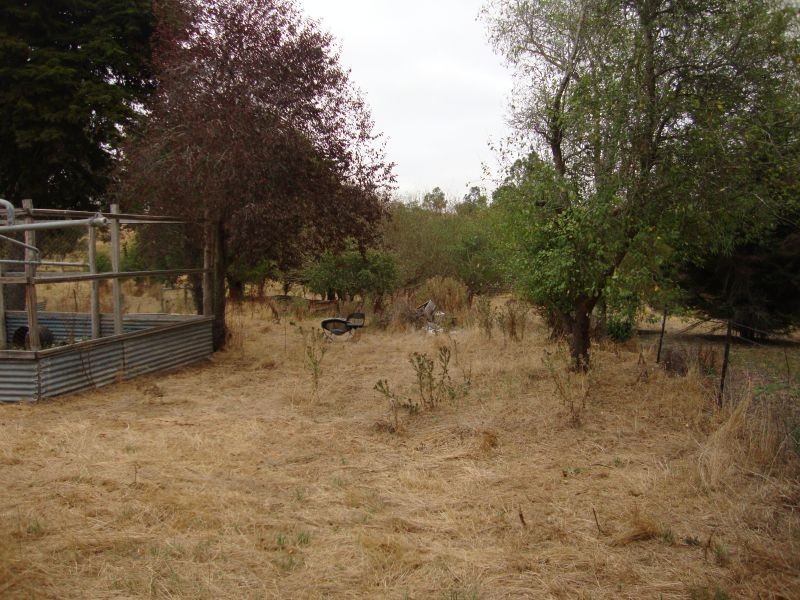 867 Carngham-Linton Road, Snake Valley VIC 3351