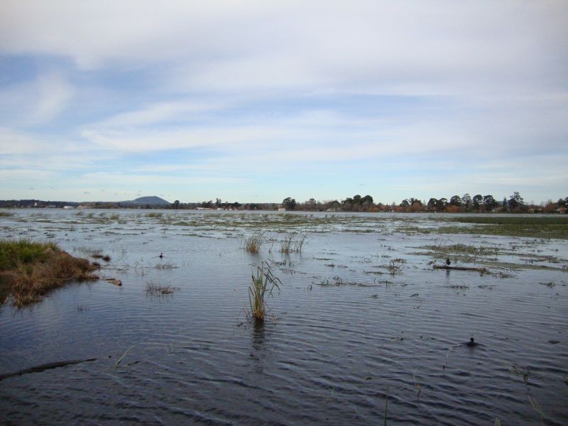 Lot 1/1440 Gregory Street, Lake Wendouree VIC 3350