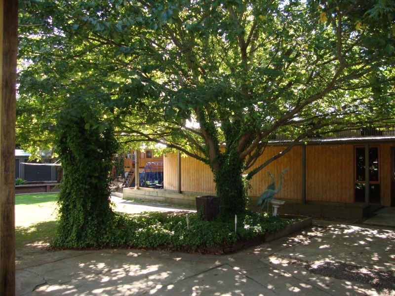 117 Crown & Sceptre Road, Cardigan VIC 3352