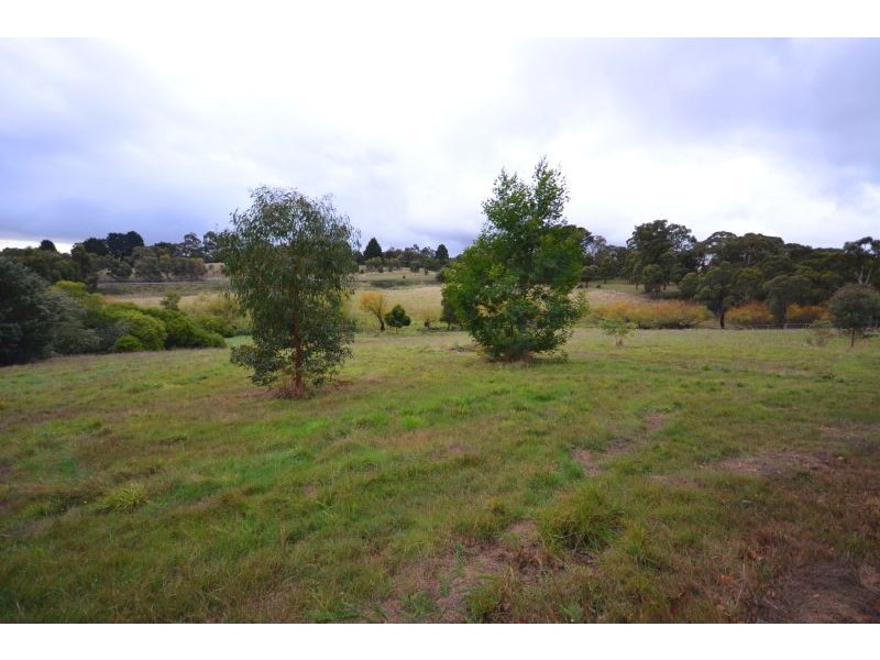 31 Jacksons Road, Brown Hill VIC 3350