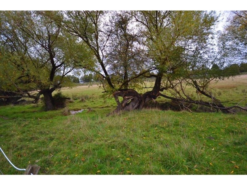 31 Jacksons Road, Brown Hill VIC 3350