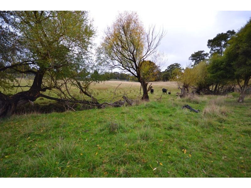 31 Jacksons Road, Brown Hill VIC 3350