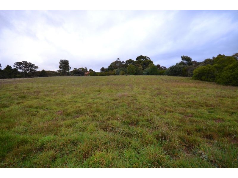 31 Jacksons Road, Brown Hill VIC 3350