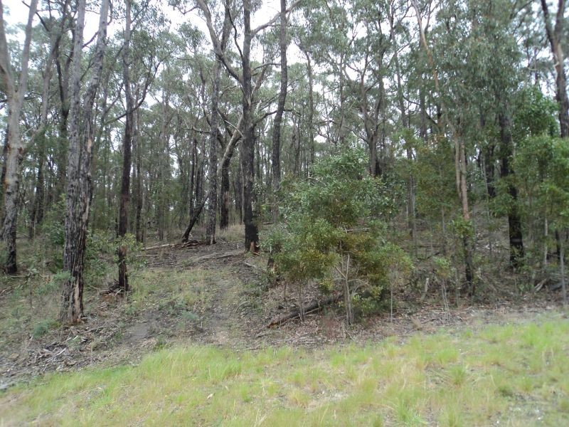 3 Brodie Court, Mount Helen VIC 3350