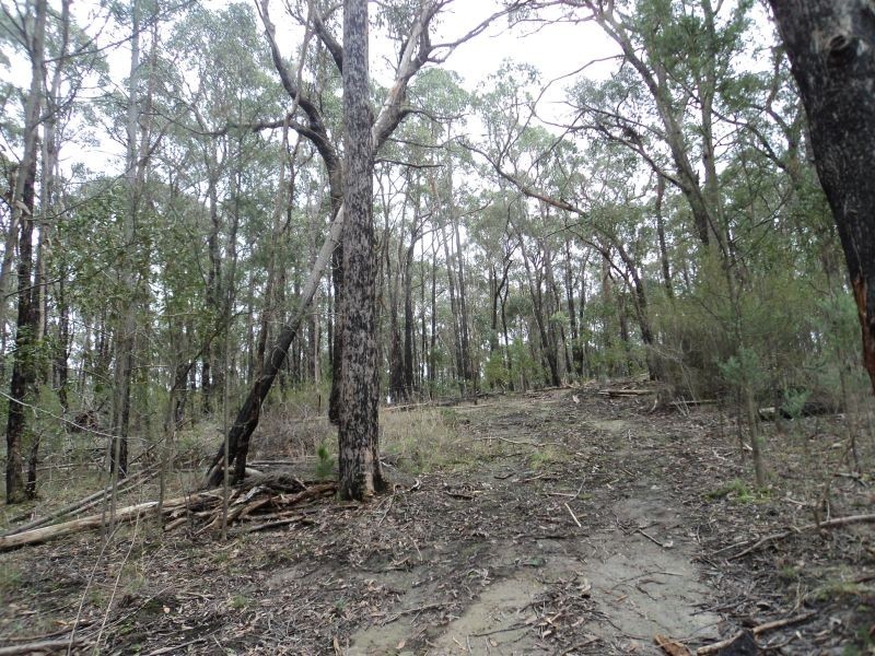 3 Brodie Court, Mount Helen VIC 3350