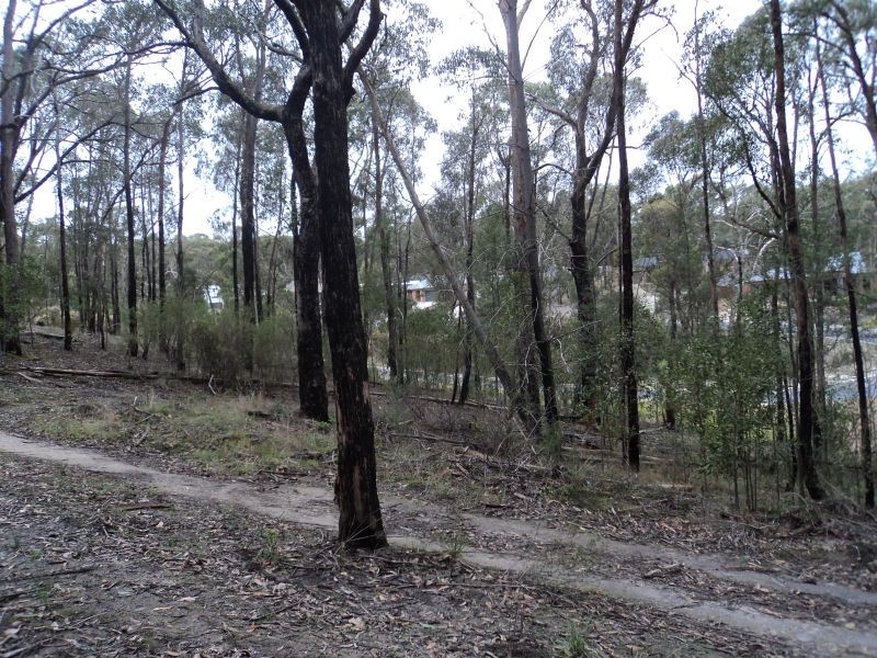 3 Brodie Court, Mount Helen VIC 3350